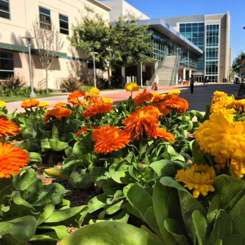 WesternU Campus for Hotspots Webpage