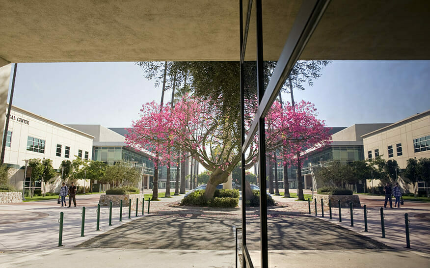 Western Univeristy of Health Science