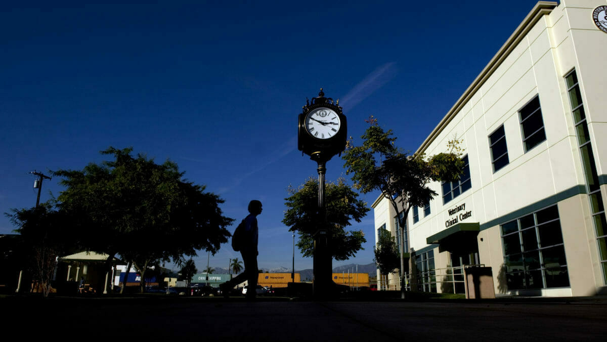 Western Univeristy of Health Science