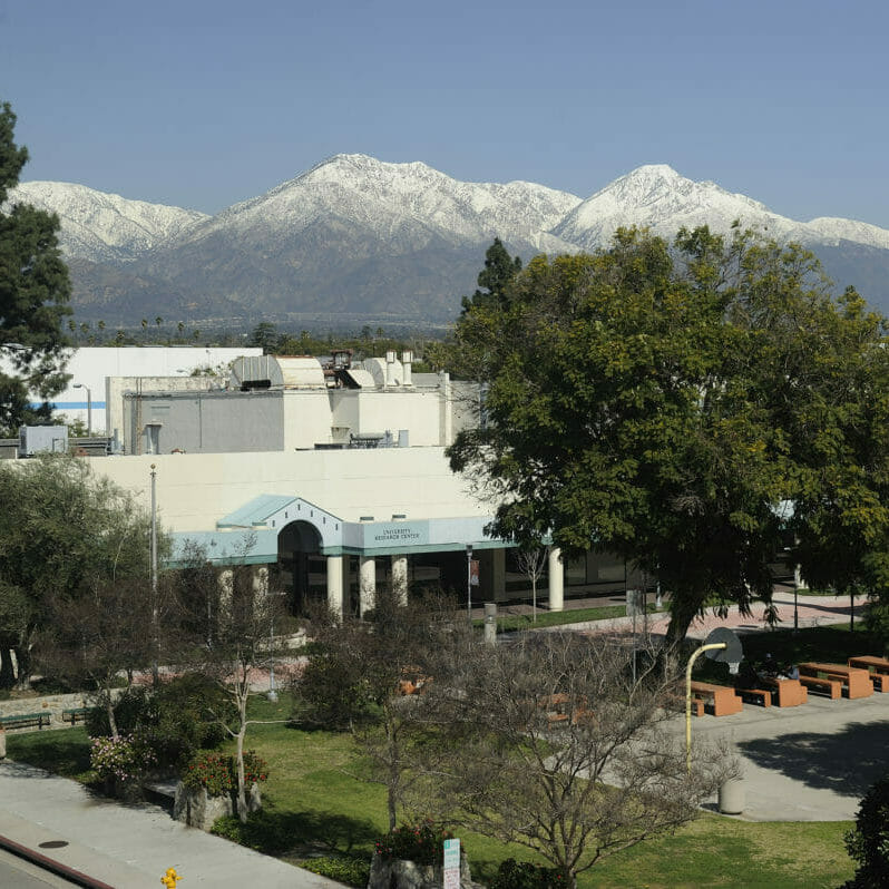 Western University views of the campus and Esplande