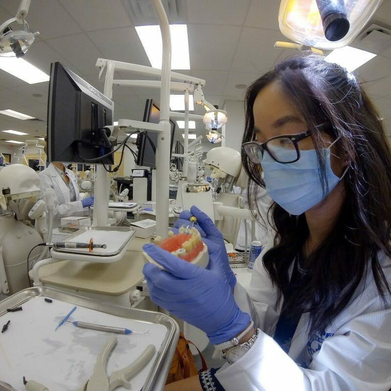 Student working on teeth in Dental Sim Center