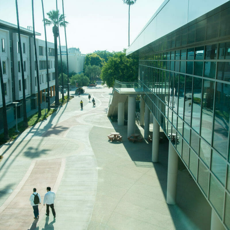 Health Education Center, HEC, Daumier