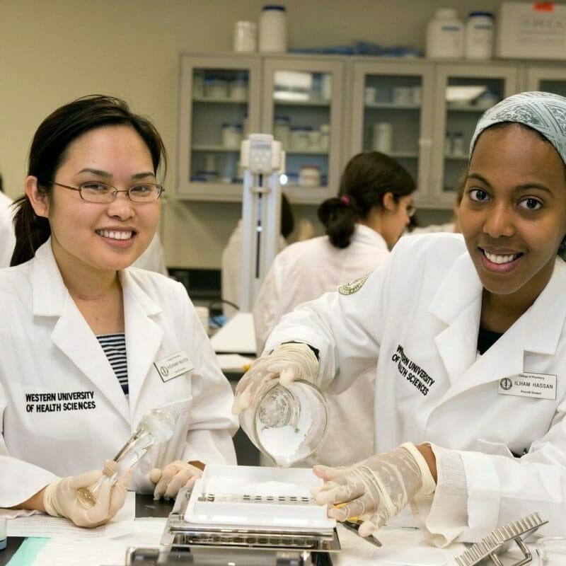 students are in pharmacy lab
