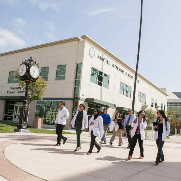 College of Optometry students and faculty walk the Esplanade at WesternU